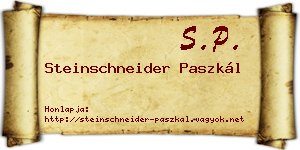 Steinschneider Paszkál névjegykártya